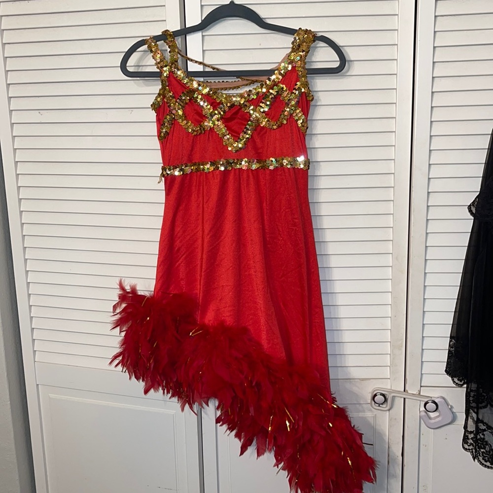 Vintage art stone feather, red leotard, dress costume gold sequins Halloween